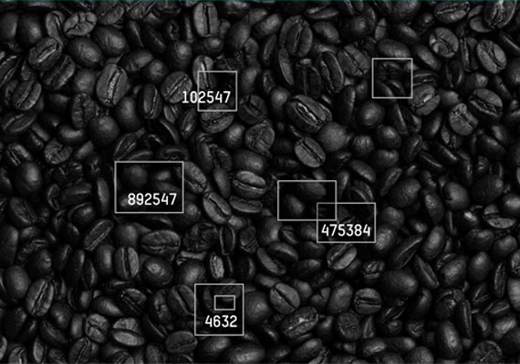 Coffee beans with detection boxes and IDs